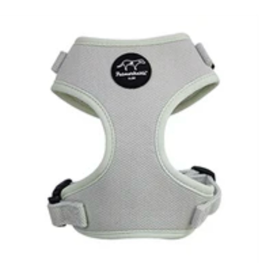 Petmarkable Dog Harness for Small Dogs Mint Green Size Extra Small